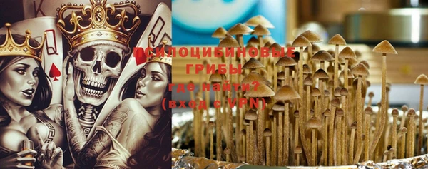 ешки Дмитров